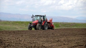 Pancar bakım avans ödemesi bugün üreticilerin hesaplarına aktarılacak