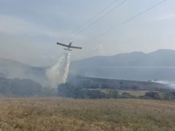 Paşalimanı Adası’nda yangın...Karadan ve havadan müdahale sürüyor
