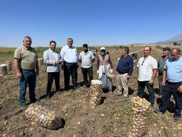 Patates üreticisi: Hasadımız yerde, gübremizin ücreti ödenmiyor! Biz bitiğiz...