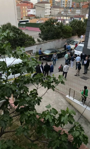 Pendik’te çöpte çok sayıda kesilmiş kimlik bulundu
