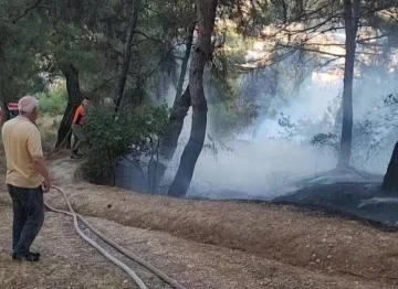 Piknik alanında çıkan yangın ormana sıçramadan söndürüldü