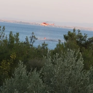 Piknik ateşinden çıkan orman yangını söndürüldü