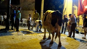 Piste çıkan boğaları para yağmuruna tuttular
