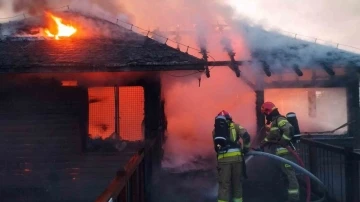 Polonya’da hayvanat bahçesinde yangın: 7 maymun, 40 papağan telef oldu
