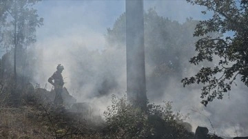 Portekiz'de devam eden orman yangınlarında binlerce hektarlık alan kül oldu