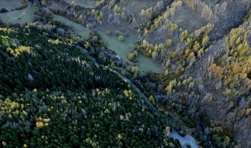 Posof, sonbaharda bir başka güzel
