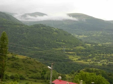 Posof’ta sağanak yağış ve dolu etkili oluyor
