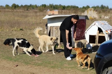 &quot;Daha sonra alacağız&quot; diyerek 80 köpeği boş araziye bıraktılar
