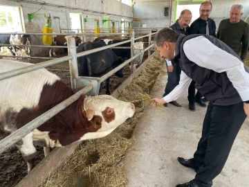 &quot;Geçen yıl Kütahya’da girişimcilere TKDK’dan 106, Kırsal Kalkınma’dan 58 destekleme verildi&quot;
