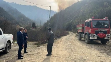 Rize’deki anız yangınını söndürme çalışmaları sürüyor
