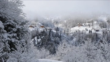 Rize'de yüksek kesimlere kar yağdı