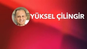 Rüyalar ve Yaban Çilekleri