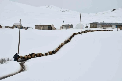 Sadece 1 ay okula giden 26 yaşındaki çoban, 20 yıldır dağdan inmeyerek kendini hayvanlarına adadı
