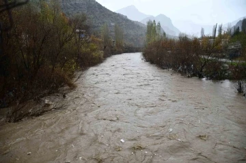 Sağanak yağış çayları taşırdı
