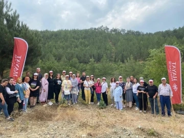 Bursa'da sağlık çalışanları ağaçların da bakımını yaptı