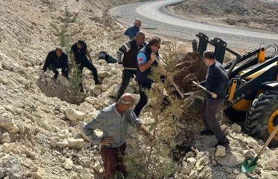 Sahabe mevkiindeki tüm yamaçlar yeşillendirildi
