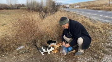 Sahipsiz köpek ve kediler Bekir amcanın yolunu gözlüyor