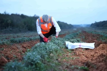 Sakarya’da tarımsal kalkınma hamlesi emekçiye nefes aldırdı
