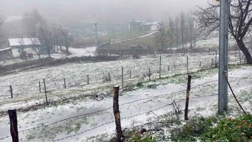 Sakarya’da yüksek kesimlerde kar yağışı başladı
