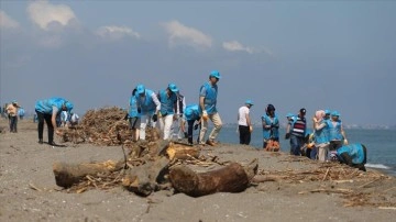 Sakarya'da sağanağın ardından kirlilik oluşan Kocaali sahili temizleniyor