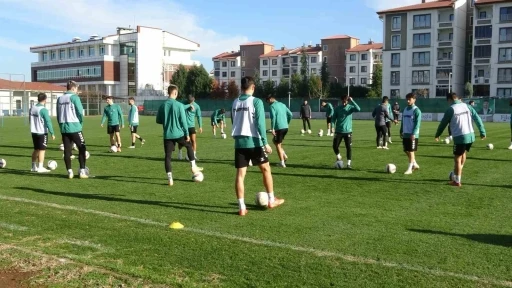 Sakaryaspor, Erzurumspor mesaisinde
