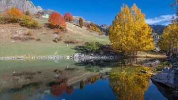 "Sakin şehir" ünvanlı Şavşat, sonbahar renkleriyle doğal fotoğraf stüdyosuna dönüştü