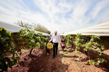 Salkım güvesiyle mücadele tarla gününde anlatıldı
