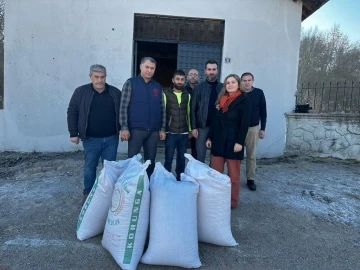 Samsun’da ‘çok yıllık yem bitkileri örnek ekim tarlaları’ kurulacak
