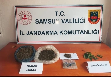 Samsun’da jandarmadan uyuşturucu operasyonu: 3 gözaltı