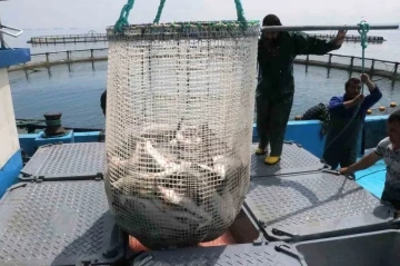 Samsun’da su ürünleri üretimi 13 bin 971 tona çıktı
