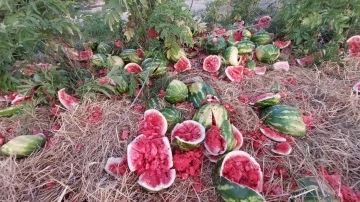 Samsun’da yol kenarına atılan karpuzlar dikkat çekti
