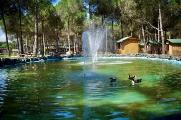 Samsun’un yeni turizm merkezi: Çarşamba Orman Park
