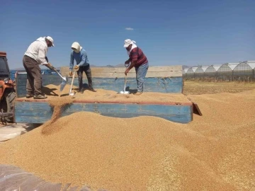 Sandıklı’da arpa ve buğday alımı sürüyor
