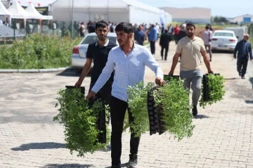 Şanlıurfa’da çiftçilere 2 milyon sebze fidesi dağıtıldı
