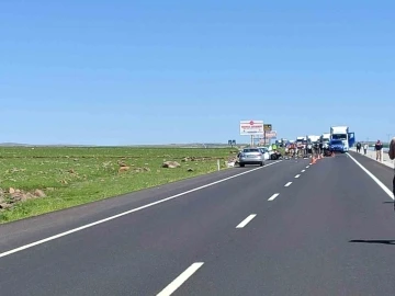 Şanlıurfa’da feci kaza: 2 ölü, 6 yaralı
