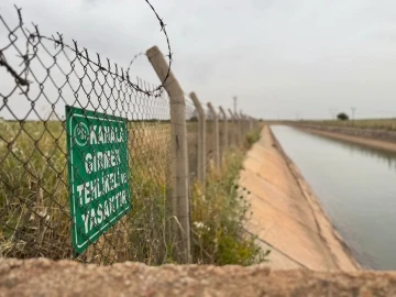 Şanlıurfa’da yüreklerin ağızlara geldiği anlar kamerada
