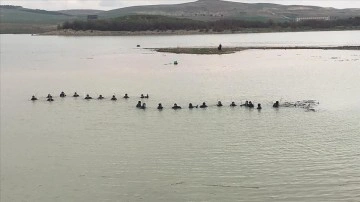 Şanlıurfa'da tırıyla sele kapılan sürücüyü arama çalışmaları bir haftadır sürüyor