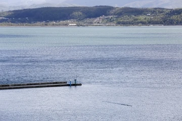 Sapanca Gölü’nde sevindiren haber: Su seviyesi 31.37 metreye ulaştı
