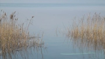 Sapanca Gölü'ndeki su seviyesi yağışların etkisiyle maksimum seviyeye yaklaştı