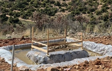 Şaphane’de Çam Kese Böceği ile mücadele
