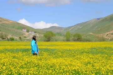 Sarıçiçek Köyü’nde 20 günlük doğa şöleni başladı
