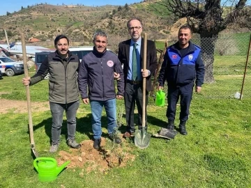 Sarıgöl’de 400 fıstık çamı toprakla buluştu
