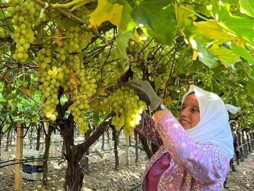 Sarıgöl’de kadın işçi yevmiyeleri 100 TL zamlandı
