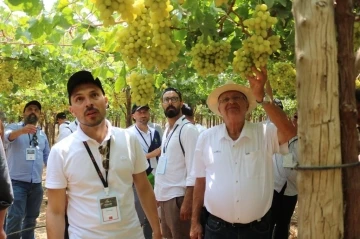 Sarıgöllü bağcılar Mısır’da son üzüm hasadını yerinde inceledi
