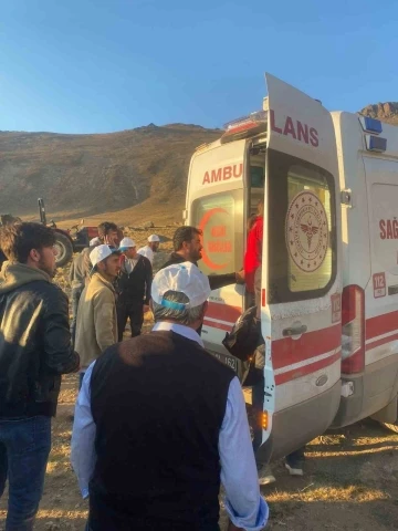 Şehitler anısına vefa yürüyüşü yapan gruba ayı saldırdı: 1 kişi yaralandı
