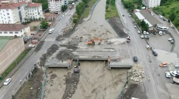 Sel felaketleri sadece insanları değil, balık popülasyonunu da etkiliyor
