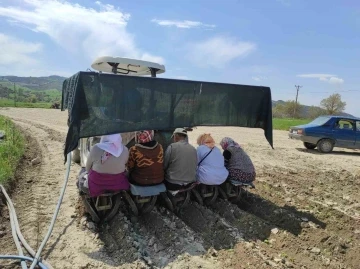 Selendi’de tütün dikimi başladı
