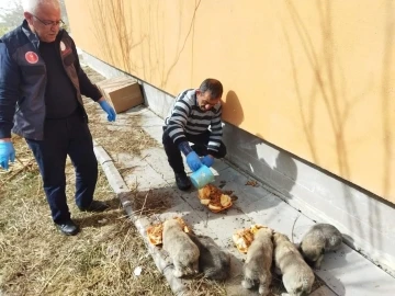 Şenkaya’da kamu görevlilerinden örnek davranış
