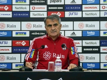 Şenol Güneş: &quot;Brezilya gibi bir oyun istiyorum&quot;
