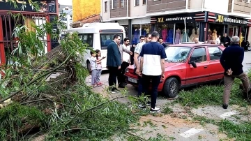 Seyir halindeki otomobilin üzerine ağaç devrildi